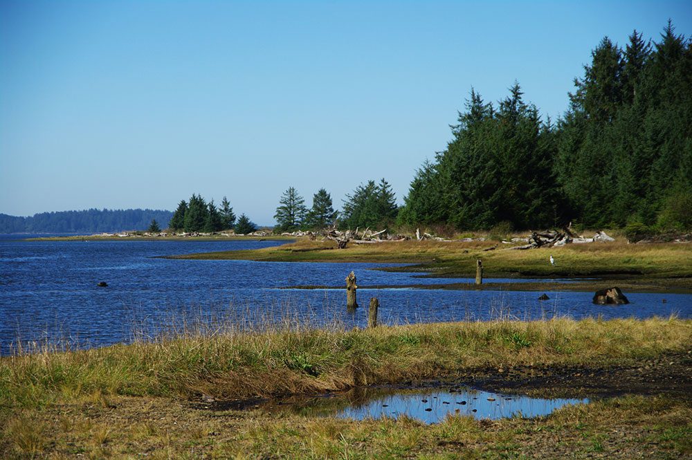 Kilchis Point shoreline