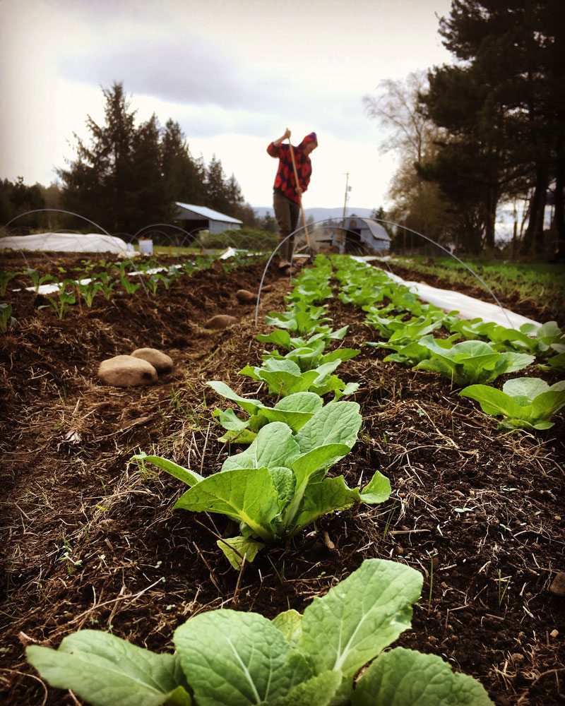 Moon River Farm Nehalem