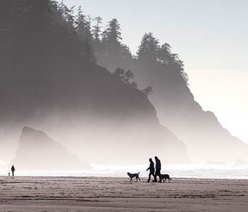 neskowin