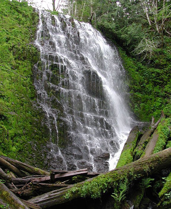 Wide waterfall with green moss and ferns surrounding