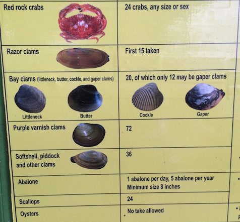 ClamPoster