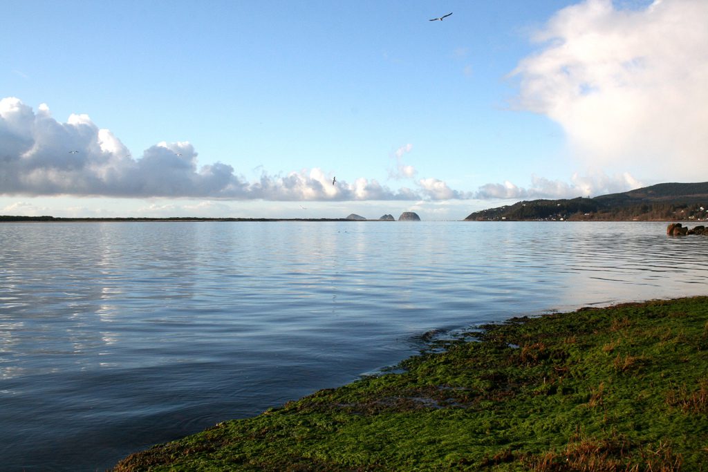 Netarts Bay Wikimedia