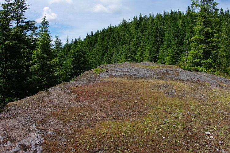 Mt. Hebo rock platform
