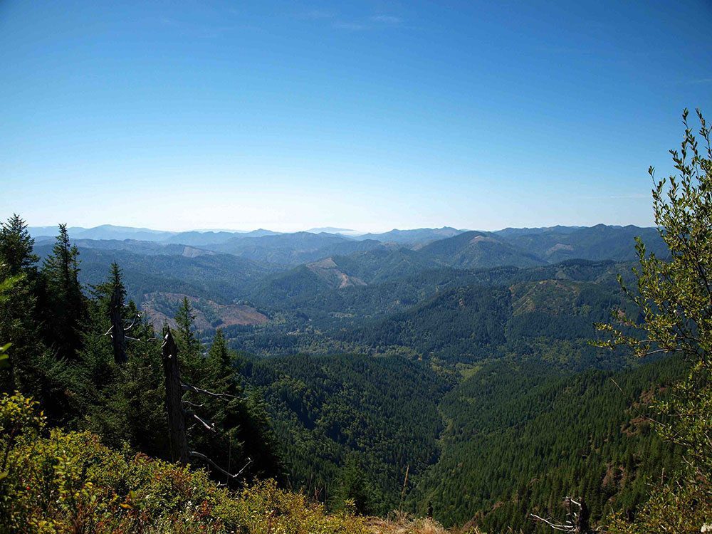 Sweeping view of rolling hills and trees