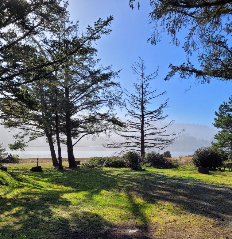Whalen Island Tent Site Forest Trees Bay Estuary