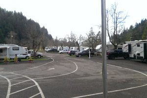 Wilson River RV Park: campers lined up in parking lot