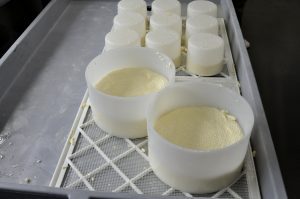4 Fresh cheese pressed