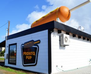 Pronto Pup