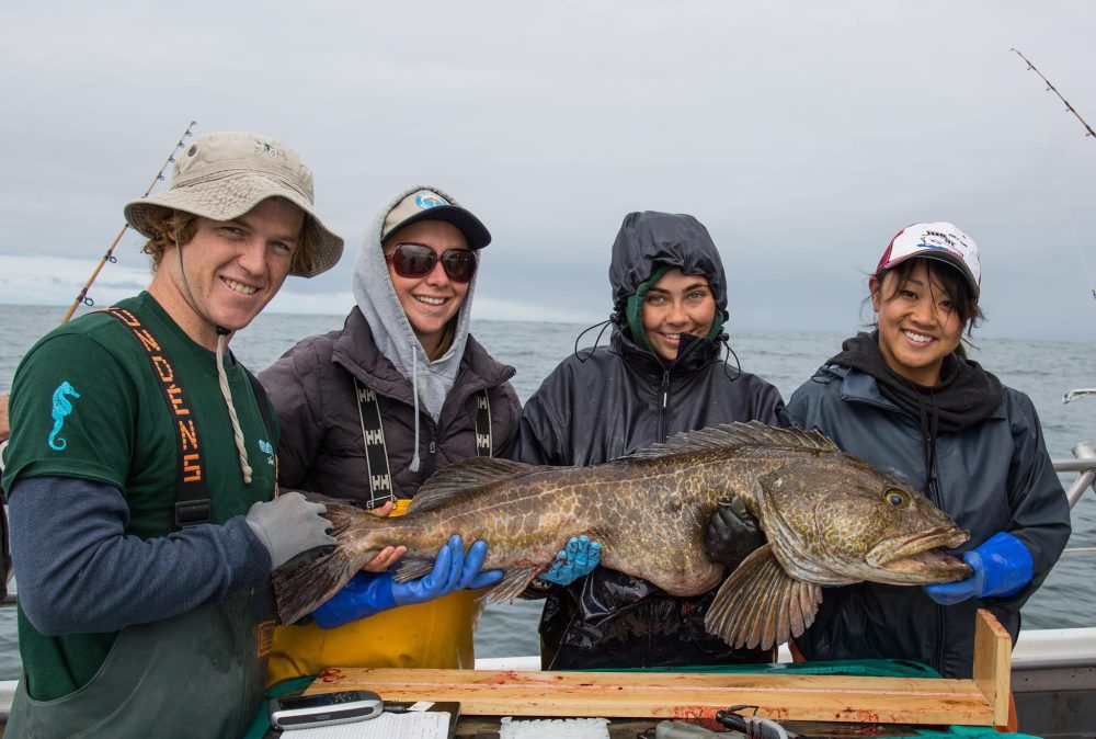 Garibaldi Charters