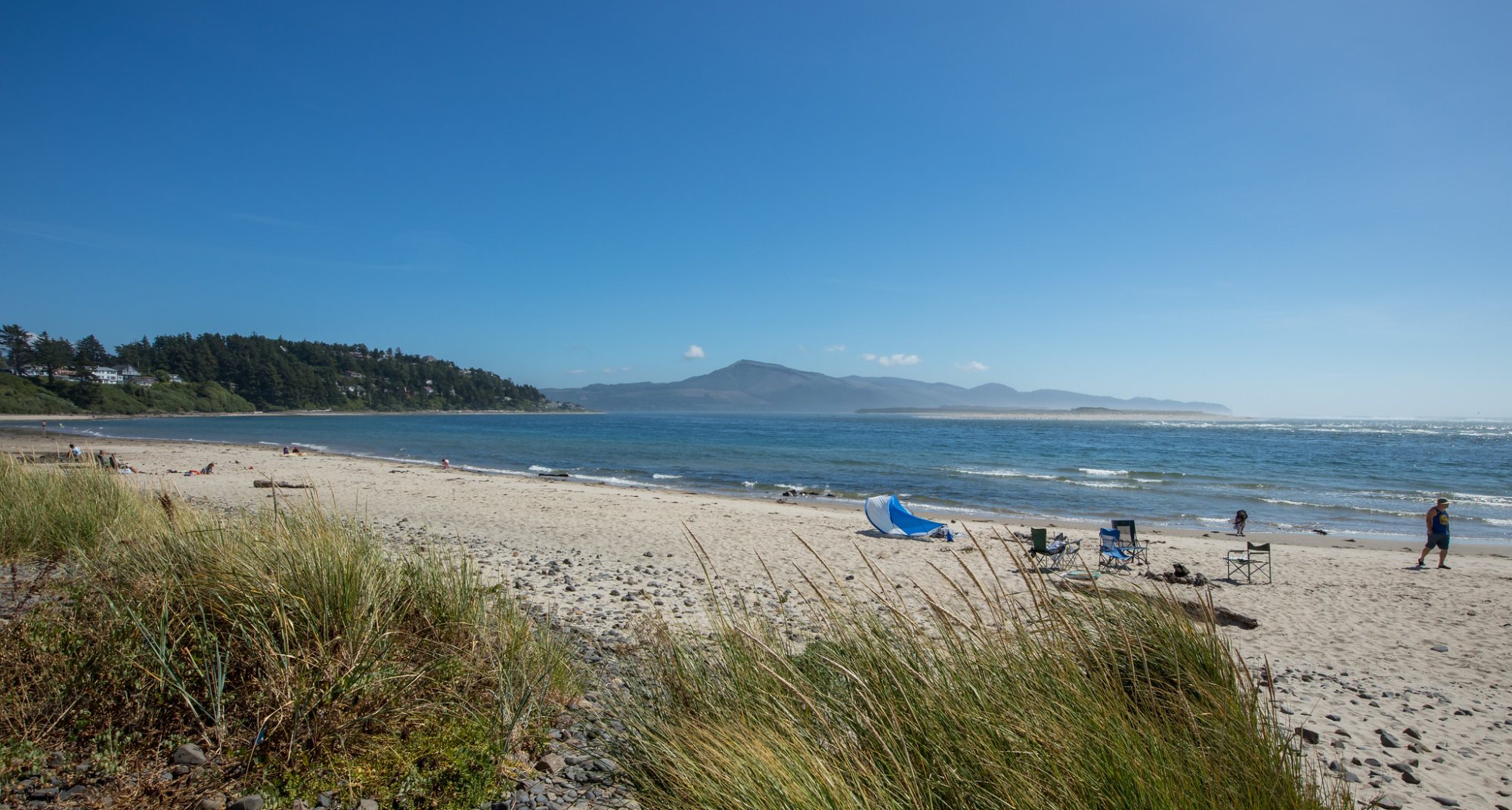 netarts beach grass ocean